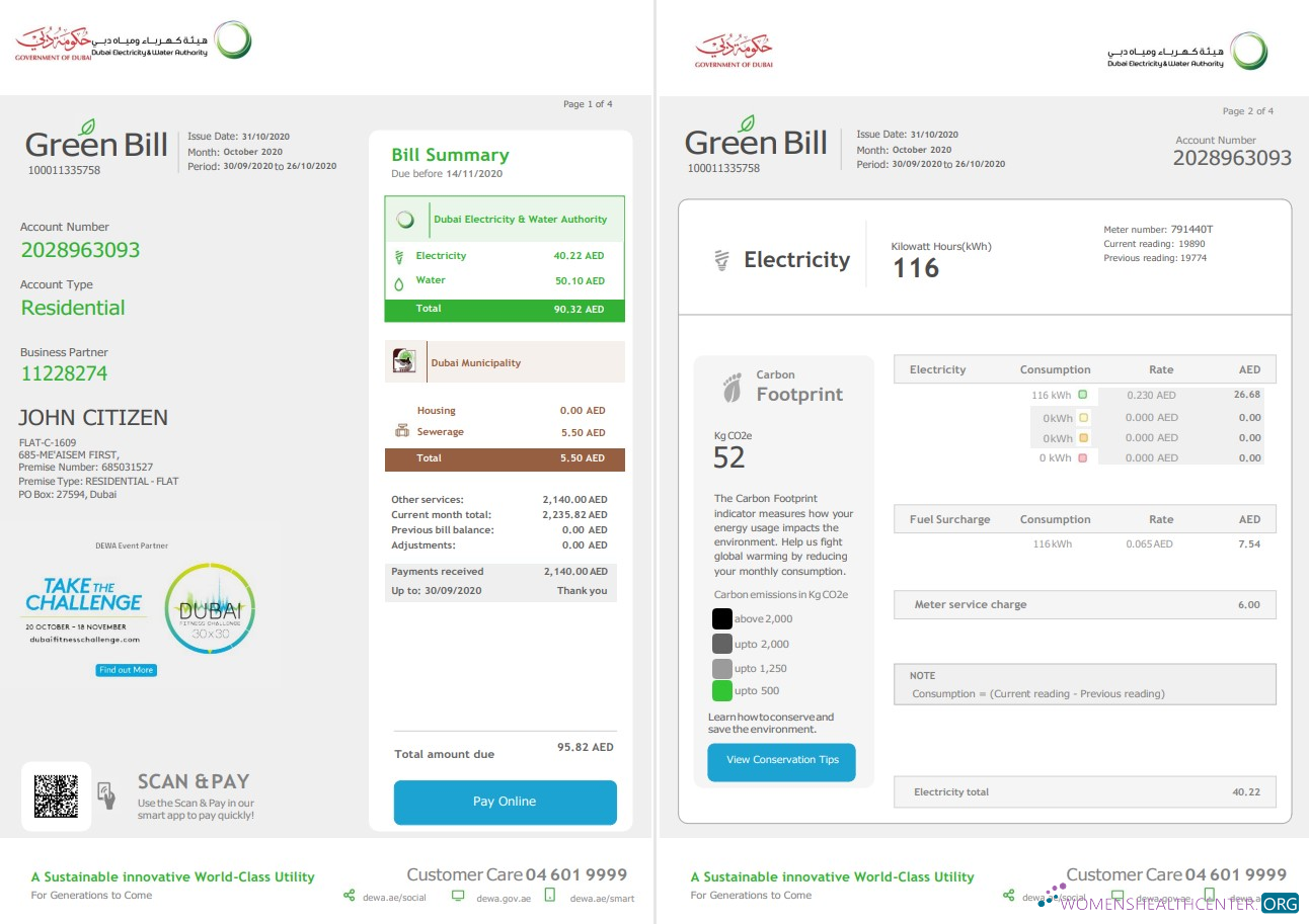 United Arab Emirates Dubai Electricity & Water Authority utility bill template in Word and PDF format (4 pages) 1 2